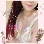 ヒメ日記 2025/02/04 14:14 投稿 乙葉 HERMINE-エルミネ-