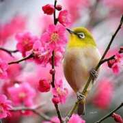 ヒメ日記 2025/03/01 15:15 投稿 乙葉 HERMINE-エルミネ-