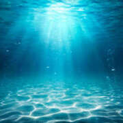 ヒメ日記 2025/03/13 15:04 投稿 乙葉 HERMINE-エルミネ-