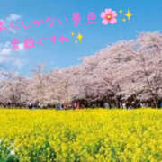 ヒメ日記 2025/03/24 15:14 投稿 乙葉 HERMINE-エルミネ-