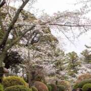 ヒメ日記 2025/04/07 14:38 投稿 乙葉 HERMINE-エルミネ-