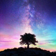 ヒメ日記 2025/04/17 22:04 投稿 乙葉 HERMINE-エルミネ-