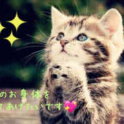 ヒメ日記 2025/04/29 13:59 投稿 乙葉 HERMINE-エルミネ-