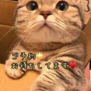 ヒメ日記 2025/04/30 14:08 投稿 乙葉 HERMINE-エルミネ-