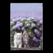 ヒメ日記 2025/05/02 17:31 投稿 乙葉 HERMINE-エルミネ-