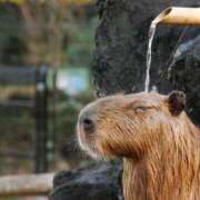 ヒメ日記 2025/05/07 12:03 投稿 乙葉 HERMINE-エルミネ-