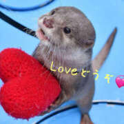 ヒメ日記 2025/05/13 15:15 投稿 乙葉 HERMINE-エルミネ-