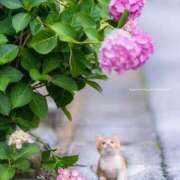 ヒメ日記 2025/05/17 13:54 投稿 乙葉 HERMINE-エルミネ-