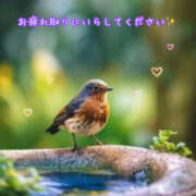 ヒメ日記 2025/05/19 18:09 投稿 乙葉 HERMINE-エルミネ-