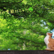 ヒメ日記 2025/05/21 14:40 投稿 乙葉 HERMINE-エルミネ-