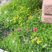 ヒメ日記 2025/05/24 14:06 投稿 乙葉 HERMINE-エルミネ-