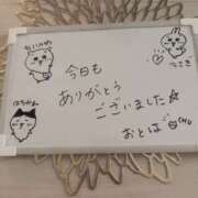 ヒメ日記 2025/05/25 00:27 投稿 乙葉 HERMINE-エルミネ-