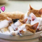 ヒメ日記 2025/05/31 19:19 投稿 乙葉 HERMINE-エルミネ-