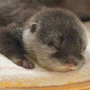 ヒメ日記 2025/06/05 03:34 投稿 乙葉 HERMINE-エルミネ-