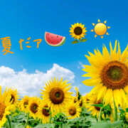 ヒメ日記 2025/07/18 14:32 投稿 乙葉 HERMINE-エルミネ-