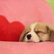 ヒメ日記 2025/08/20 14:34 投稿 乙葉 HERMINE-エルミネ-