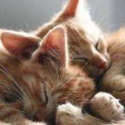 ヒメ日記 2025/08/25 18:20 投稿 乙葉 HERMINE-エルミネ-