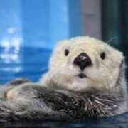 ヒメ日記 2025/08/30 18:44 投稿 乙葉 HERMINE-エルミネ-