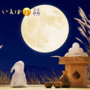 ヒメ日記 2025/09/01 12:32 投稿 乙葉 HERMINE-エルミネ-