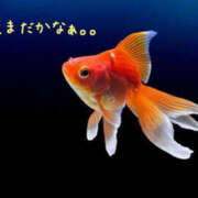 ヒメ日記 2025/09/09 16:32 投稿 乙葉 HERMINE-エルミネ-