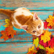 ヒメ日記 2025/09/27 14:27 投稿 乙葉 HERMINE-エルミネ-