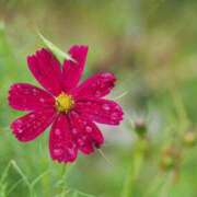 ヒメ日記 2025/10/11 14:28 投稿 乙葉 HERMINE-エルミネ-