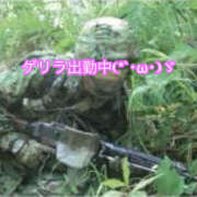 ヒメ日記 2025/10/22 15:16 投稿 乙葉 HERMINE-エルミネ-