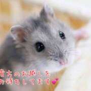 ヒメ日記 2025/10/28 17:06 投稿 乙葉 HERMINE-エルミネ-