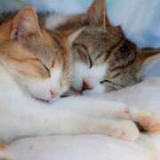 ヒメ日記 2025/11/13 14:10 投稿 乙葉 HERMINE-エルミネ-