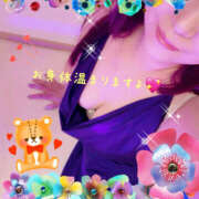 ヒメ日記 2025/11/24 14:17 投稿 乙葉 HERMINE-エルミネ-