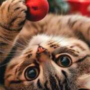 乙葉 どこもかしこも。。🎄✨️ HERMINE-エルミネ-