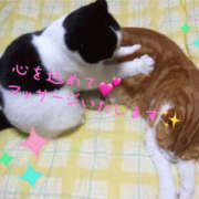 乙葉 もふもふもふもふ。。🐱💗 HERMINE-エルミネ-