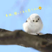 ヒメ日記 2025/12/09 14:36 投稿 乙葉 HERMINE-エルミネ-