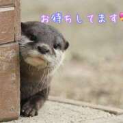 ヒメ日記 2025/12/19 14:18 投稿 乙葉 HERMINE-エルミネ-