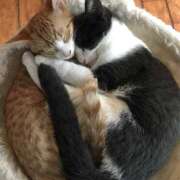 ヒメ日記 2026/01/13 19:06 投稿 乙葉 HERMINE-エルミネ-