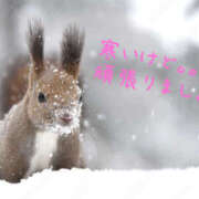 ヒメ日記 2026/01/21 16:55 投稿 乙葉 HERMINE-エルミネ-