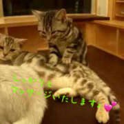 ヒメ日記 2026/03/02 15:32 投稿 乙葉 HERMINE-エルミネ-