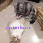 ヒメ日記 2026/03/12 14:49 投稿 乙葉 HERMINE-エルミネ-