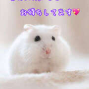 ヒメ日記 2026/03/23 14:16 投稿 乙葉 HERMINE-エルミネ-