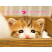 ヒメ日記 2026/03/25 19:33 投稿 乙葉 HERMINE-エルミネ-