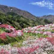 乙葉 こんな景色が見てみたい😍😆🌸✨️ HERMINE-エルミネ-