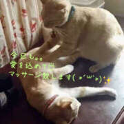 ヒメ日記 2026/04/09 16:50 投稿 乙葉 HERMINE-エルミネ-