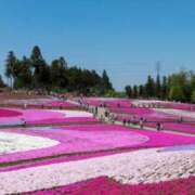 ヒメ日記 2026/04/13 16:00 投稿 乙葉 HERMINE-エルミネ-