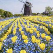 ヒメ日記 2026/04/16 14:18 投稿 乙葉 HERMINE-エルミネ-