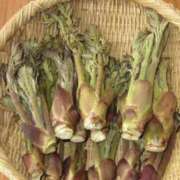 ヒメ日記 2026/04/28 14:52 投稿 乙葉 HERMINE-エルミネ-