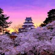 ヒメ日記 2026/05/08 14:21 投稿 乙葉 HERMINE-エルミネ-