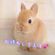 ヒメ日記 2026/06/13 16:45 投稿 乙葉 HERMINE-エルミネ-
