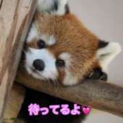 ヒメ日記 2026/07/31 14:14 投稿 乙葉 HERMINE-エルミネ-