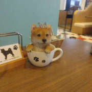 ヒメ日記 2025/03/11 18:05 投稿 せつな 奥鉄オクテツ神奈川店（デリヘル市場グループ）