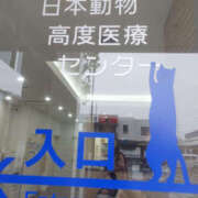 ヒメ日記 2025/03/19 13:50 投稿 せつな 奥鉄オクテツ神奈川店（デリヘル市場グループ）